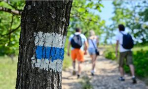 Tájékozódási futóverseny családoknak a KEMPP-ben