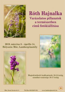 Róth Hajnalka móri fotókiállítása