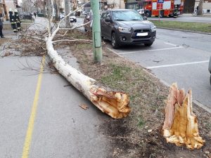 Viharkár Oroszlányban - Képekkel