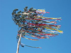 Majális - májusfa állítás Móron