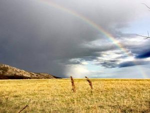 Mór: Fotósok szemével sorozat - 2019. március