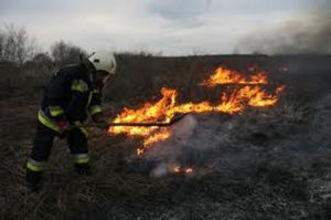 Avar égett Bársonyosnál