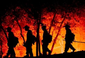 Veszélyes erdõtûz pusztított Tárkány térségében