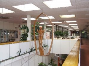 Zimmermann jelmezbál felnõtteknek Móron