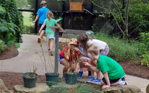 Fák, virágok, gyerekek - Móri nyári tábor