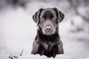 Fotós díj és újság címlapkép: Dr. Krausz Dóra hobbijában is sikeres