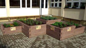 Fûszerkert az iskolában