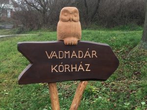 Ismeri tevékenységét, céljait? - Székesfehérvári vadmadárkórház