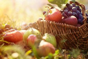 Így bõvül a Gördülõ Piac Tatabányán