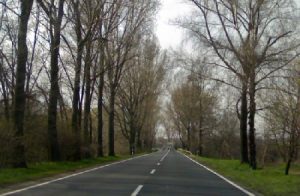 Baleset Söréd közelében a 81-esen - Frissítve