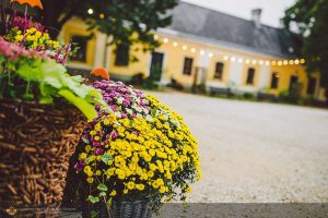 Múzeumok Éjszakája Mór 2019 - Programok