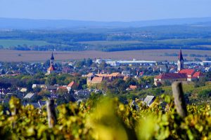Móri programajánló gyerekeknek, szülõknek, szakembereknek