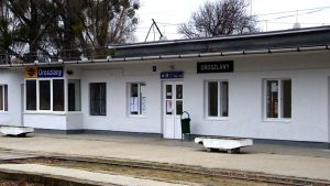 Oroszlányban akadt horogra