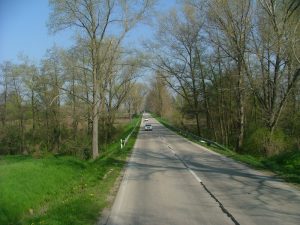 Személyi sérüléses baleset  Mór és Kisbér között a 81-es fõúton - FRISSÍTVE!