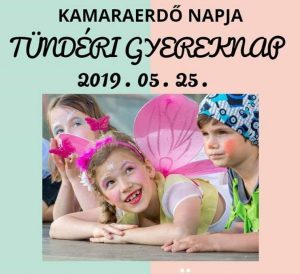 Kamaraerdõ napja - Tündéri Gyereknap