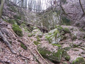 Tágabb lakhelyünk, a Vértes szépségeibõl régen és ma!