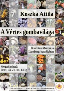 Koszka Attila: A Vértes gombavilága c. kiállítás Móron