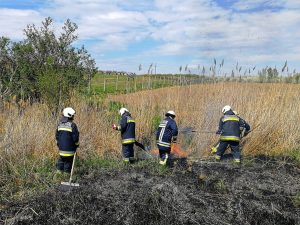 Aljnövényzet és illegálisan lerakott szemét égett