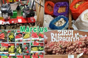 Itt a tavasz Móriak! A Móri Mezõgazdasági Bolt márciusi ajánlatai