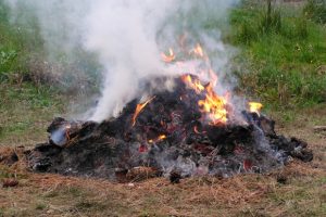 Az avar, kerti hulladék égetési rendje Móron!