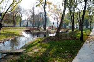 Mindannyian mások vagyunk... Fogyatékkal élõk napja Móron 2019.