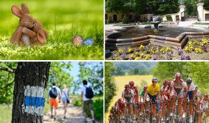 Áprilisi és májusi programok Móron és a Móri Borvidéken!