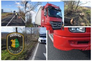 A 81-es útra dõlt a kivágott fa