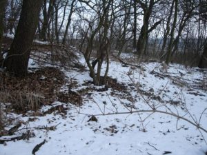 Vaskapu - egy vármaradvány a Móri Járásban, ismered?