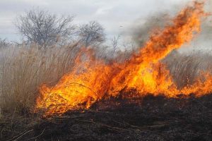 Nagy területen ég az aljnövényzet Tárkány külterületén