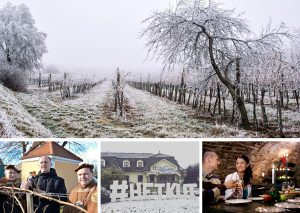 Vince Napi Wellness Pihenés Móron