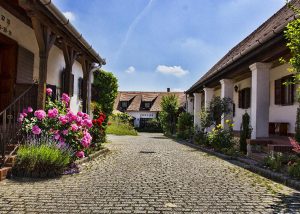 "Tarka Tavaszi Pillanatok" az Öreg Présben