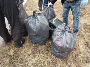 Téged is várnak! Tavaszi nagytakarítás Móron és környékén!