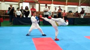 Karate sikerek