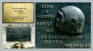 "Hírességek" Tatabánya környékén: Samu, az elõember