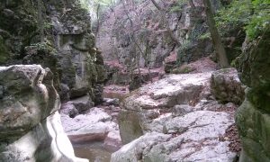 Szikláról esett  le egy ember Bakonynánánál