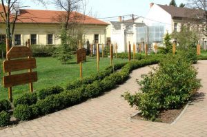 Tanévzáró Családi Nap Kisbéren