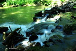 Mór: Fotósok szemével sorozat - 2019. május