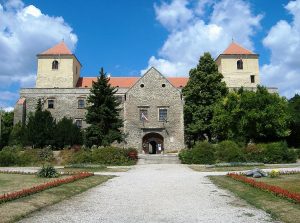 Székesfehérvár környékének középkori emlékei: Palota vára