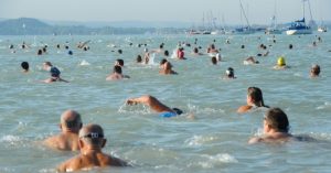 Balaton-átúszás 2019, Révfülöp-Balatonboglár