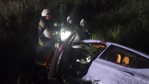 Bozótosba hajtott egy autó Székesfehérváron
