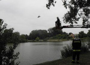 Madármentés Tárkányban - Képekkel