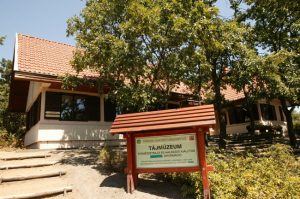 Székesfehérvár környéki kirándulóhelyek, látnivalók: Pákozd-Sukorói Arborétum