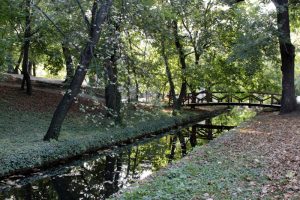 Tatabánya környéki látnivalók: sokak kedvelt kirándulóhelye: Tatai Angolpark