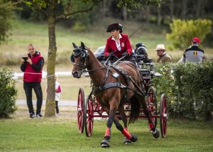 Három német és egy holland siker összetettben Kisbér-Ászáron