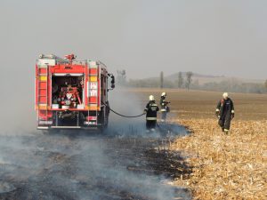 1,5 hektáron égett a tarló - Képgalériával