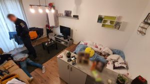 Tetőről érkezett az ászári betörő – Videóval