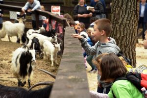 Bővült a Budakeszi Vadaspark Parasztudvara