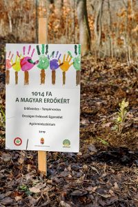 Gyerekek a hazai erdőkért