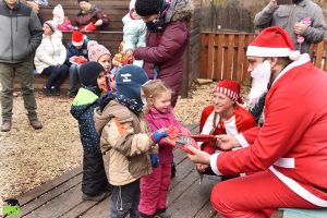 Vasárnap érkezik a Mikulás a Budakeszi Vadasparkba