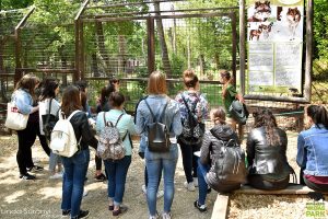 Idén is folytatódott az egyetemek és a Budakeszi Vadaspark együttműködése
